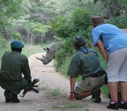 Matobo Hills Lodge - rhinotracking